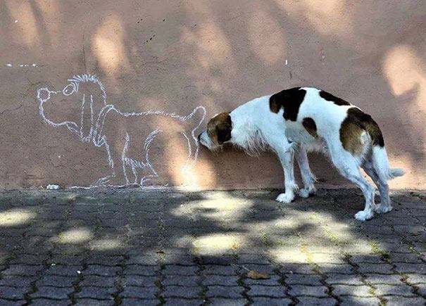 dog_smelling_grafitti.jpg