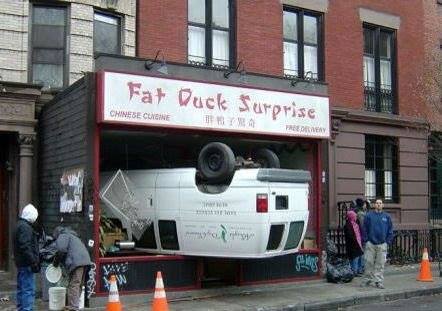 fat_duck_surprise.jpg